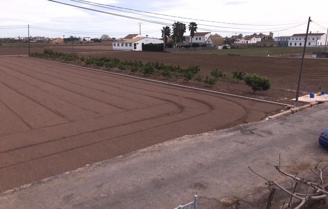 Huerta en Alboraya
