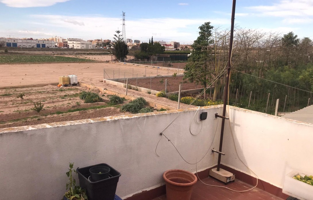 Huerta en Alboraya