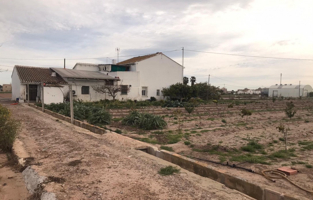 Huerta en Alboraya