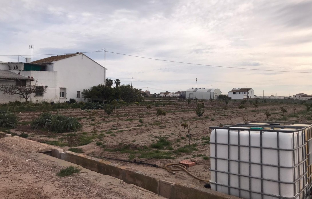 Huerta en Alboraya