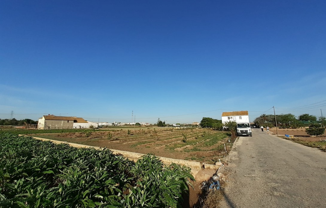 Huerta en Alboraya