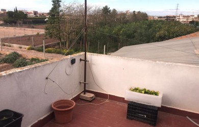Huerta en Alboraya