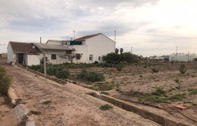 Huerta en Alboraya