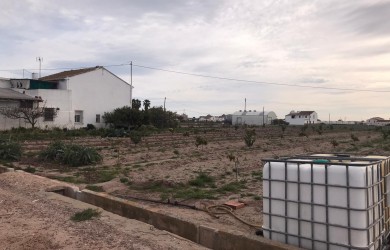 Huerta en Alboraya