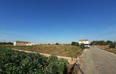 Huerta en Alboraya
